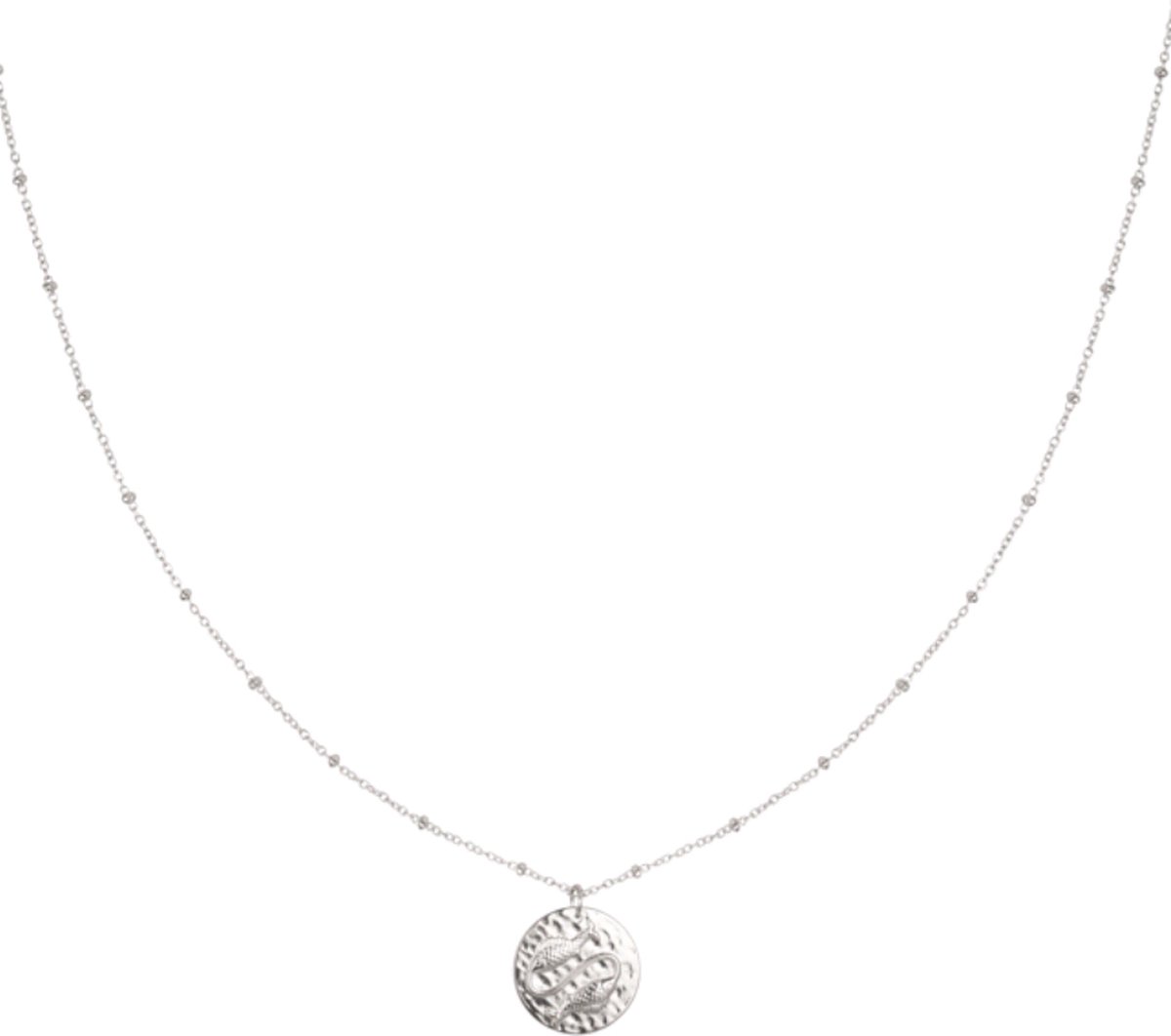 Yehwang - Ketting Sterrenbeeld vissen - Constellation - Pisces - Stainless Steel
