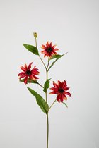 Kunsttak - Allium - daslook  - topkwaliteit decoratie - 2 stuks - zijden tak- bruin - 56 cm hoog