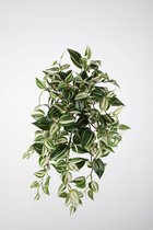 kunstplant - Wandering jew - Hedera- topkwaliteit plant - hangplant - groen - 55 cm hoog