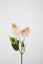 Kunstbloem - Freesia - topkwaliteit decoratie - 2 stuks - zijden bloem - Roze - 65 cm hoog