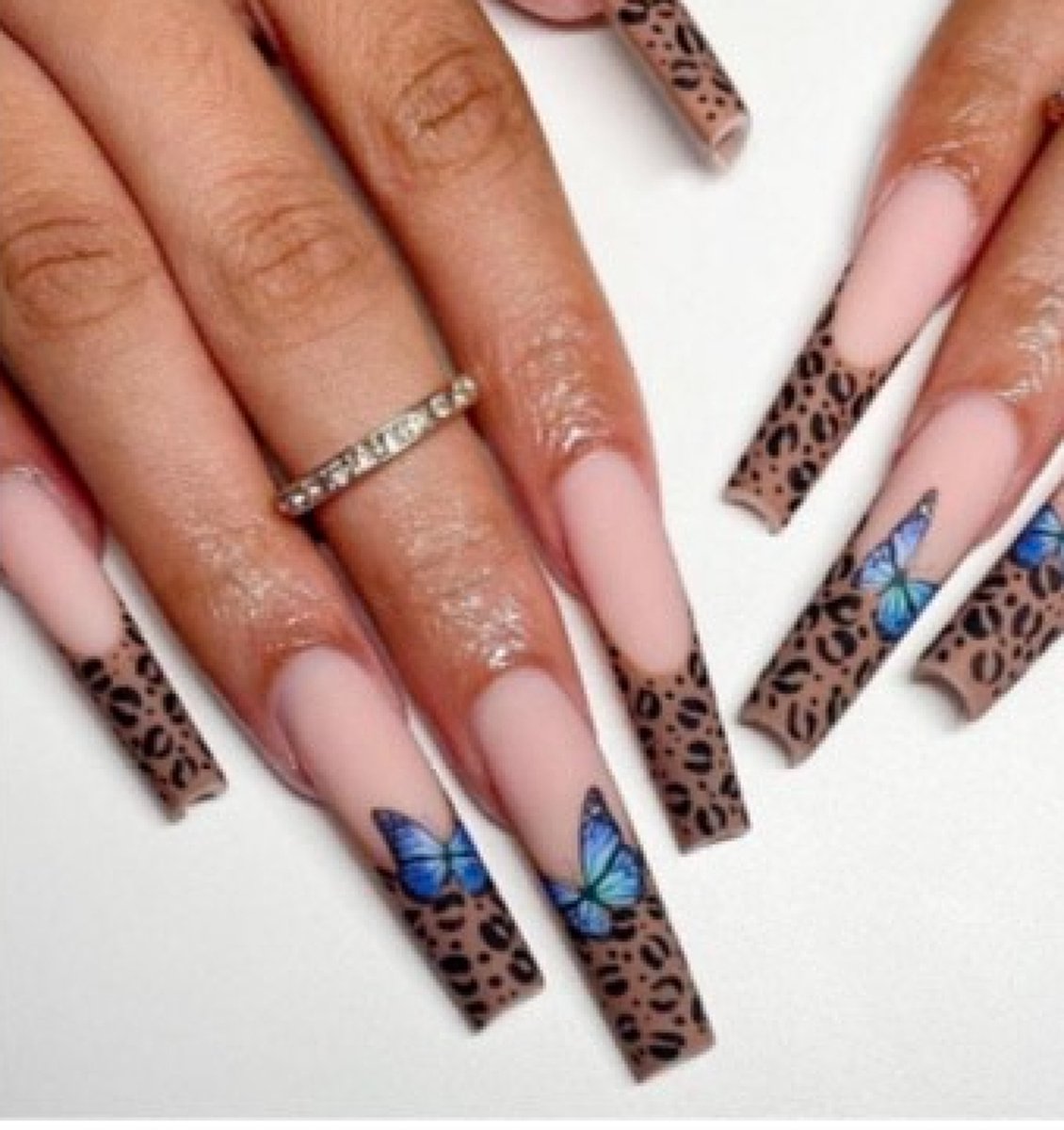 Press on nails / nagels | panter print