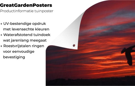 Affiche jardin - Toile jardin - Affiches jardin extérieur - Silhouette d'une mouette tempête - Posters de jardin cm - Jardin