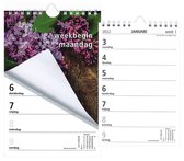 MGPcards - Weekblok (met Wire-O binding) 2022 - Week begint op Maandag - Bloemen - Paars