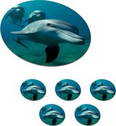 Onderzetters voor glazen - Rond - Water - Dolfijn - Blauw - 10x10 cm - Glasonderzetters - 6 stuks