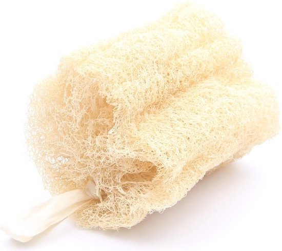 Luffa How to