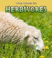 What Animals Eat Herbivores