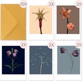 Luxe wenskaarten - set 10 stuks - met envelop - botanische kaarten - zonder tekst - alle gelegenheden - kunstkaart