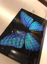 Blue butterfly lv 100x150 plexiglas met ophangsysteem top kwaliteit plexiglas, blauwe lv vlinder