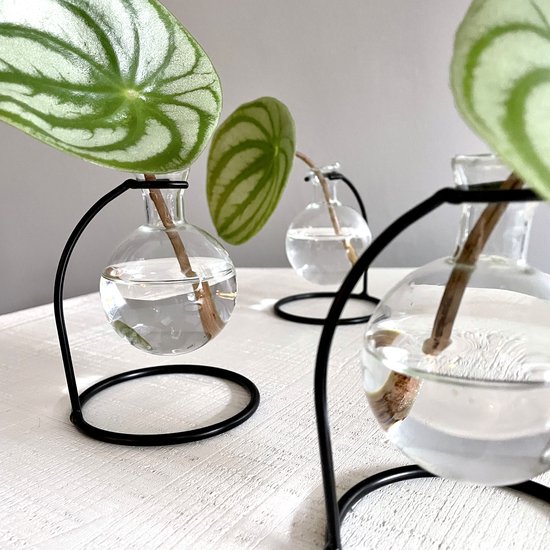 EHIOG Vermeerderingsstation voor vintage planten