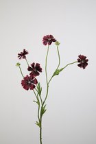 Kunstbloem - Cosmos mini spray burgundy - zijdenbloem - 1 stuks - 66 cm - donkerrood.