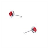 Aramat jewels ® - Aramat jewels-oorbellen-zirkonia- zweerknopjes-rood- chirurgisch staal- 6mm-zilverkleurig