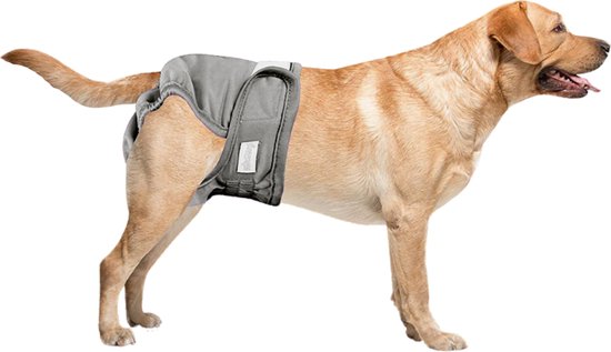 Loopsheidbroekje hond - grijs - maat M - voor middelgrote honden - herbruikbaar - hondenbroekje - hondenluier - loopsheid - ongesteldheid - voorkomt ongewenste zwangerschappen bij teefjes - milieuvriendelijk - verantwoord - perfecte pasvorm