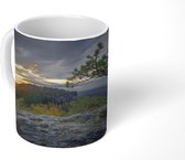 Mok - Pijnboom in Nationaal Park Sächsische Schweiz - 350 ML - Beker - Uitdeelcadeautjes