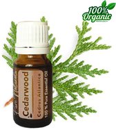 Cederhout etherische Olie 10 ml | Cedarwood Oil | 100% PUUR | Bio | Essentiële olie Aromatherapie | Olie diffuser | Geschikt voor inname | Pure Naturals