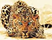 JDBOS ® Schilderen op nummer Volwassenen - Luipaard - Panter - Panther - Verven volwassenen - 40x50 cm