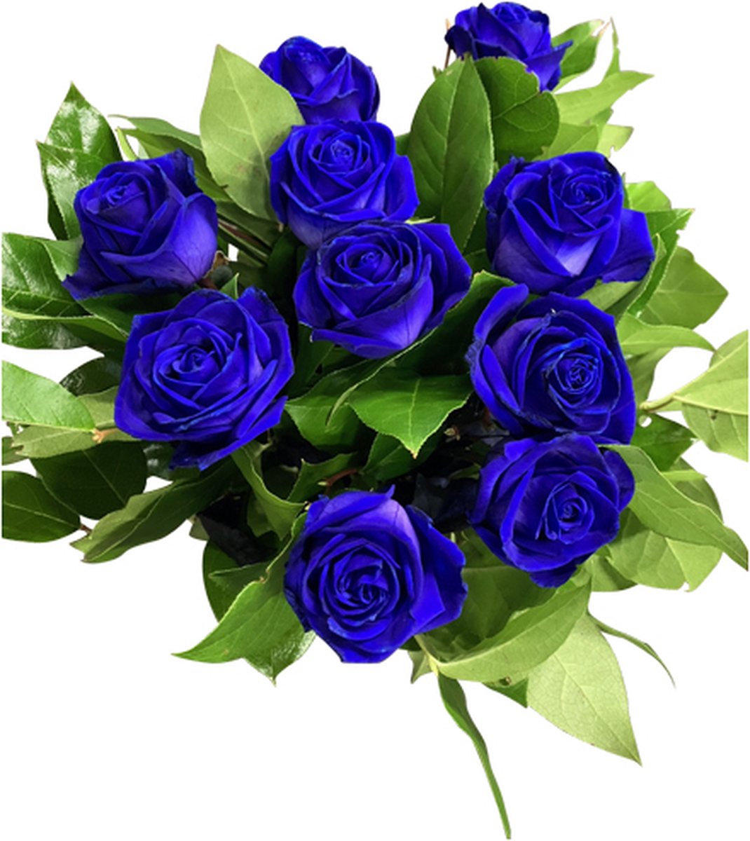 Boeket 10 blauwe rozen bol.com