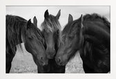 JUNIQE - Poster in houten lijst Black and White Horses -40x60 /Grijs &