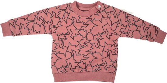 MXM Baby trui- Roze- Sweater- Print- Bruin- Maat 56