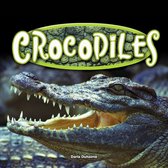 Reptiles! - Crocodiles
