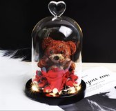 Glazen Stolp met Beer - Bruine beer in stolp - Valentijnsdag, Trouw & Liefde Cadeau - Cadeau voor haar - Moederdag cadeautje - Huwelijkscadeau