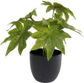 Home&Deco Kunstplantje zonneschijn in zwart potje-25 cm-1 stuks