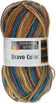 Schachenmayr Bravo Color Nr 02092