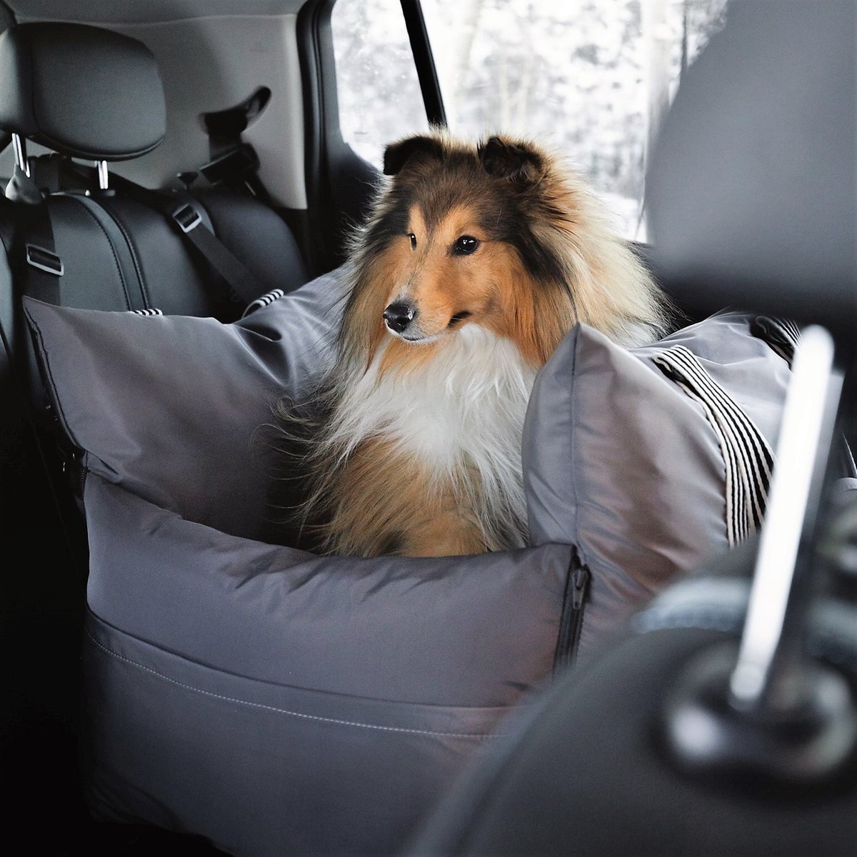 Siège d'auto pour chien, cadeau d'amant de chien, cadeau de Noël pour chiens,  accessoires de voiture pour femmes, siège d'auto de luxe pour amoureux des  chiens -  France