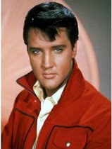 Diamond painting Elvis Presley met paard 40 x 50 cm volledige bedrukking ronde steentjes direct leverbaar the king of rock and roll - Elvis - king - pop muziek - zanger