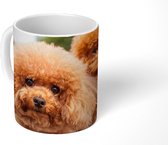 Mok - Een close-up van de bruine puppy's - 350 ML - Beker