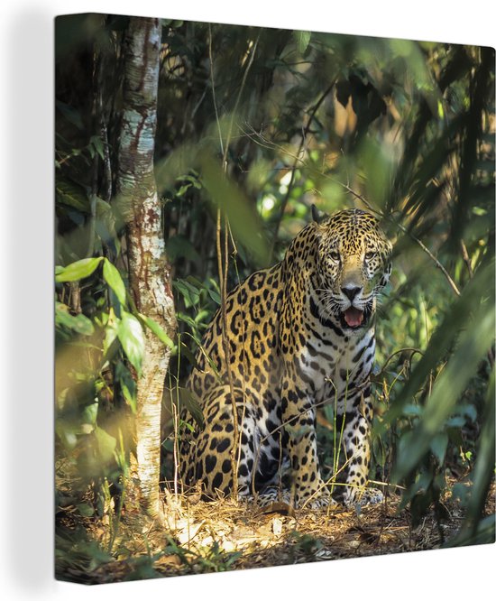 Canvas Schilderij Verstopte jaguar in de jungle - 20x20 cm - Wanddecoratie