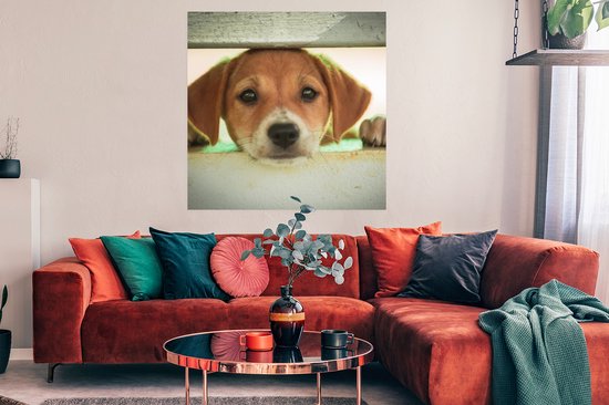 Poster Un chiot regarde à travers une clôture - 100x100 cm XXL