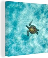 Canvas Schilderij Schildpad in de zee - 50x50 cm - Wanddecoratie