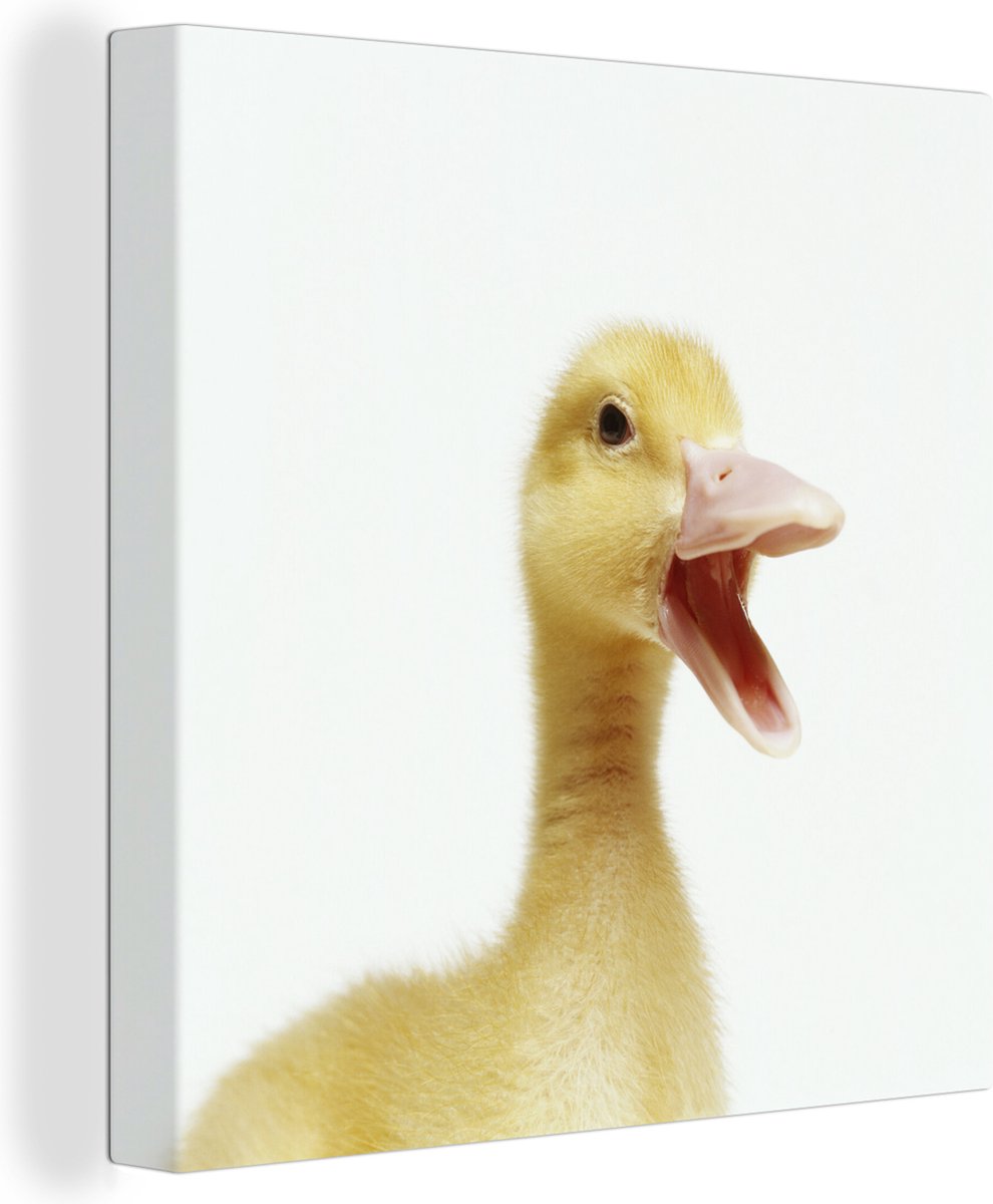 Canvas Schilderij Portret van een baby eend - 20x20 cm - Wanddecoratie