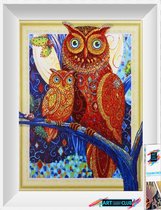 Diamond painting Exlusieve versie met strass steentjes - rhinestone diamonds -  uil 30X40cm DZ007