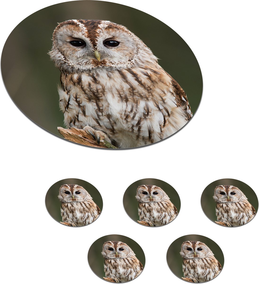 Onderzetters voor glazen - Rond - Uil - Tak - Vogel - 10x10 cm - Glasonderzetters - 6 stuks