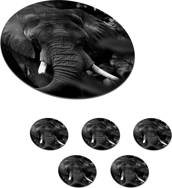 Sous- Sous-verres pour verres - Ronds - Animaux - Éléphant - Papillons - Zwart - Wit - 10x10 cm - 6 pièces