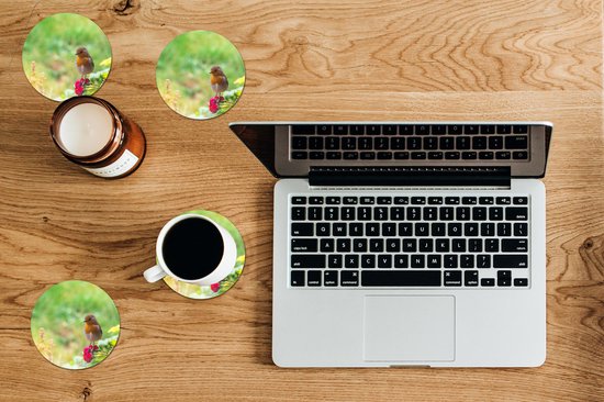 Sous- Sous-verres pour verres - Ronds - Robin - Rose - Rouge - 10x10 cm - 6 pièces