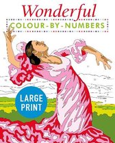 Arcturus Large Print Colour by Numbers Collection- Wonderful Colour by Numbers Large Print