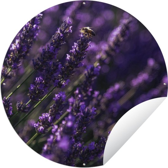 Tuincirkel Close-up van lavendel met bij - 60x60 cm - Ronde Tuinposter - Buiten