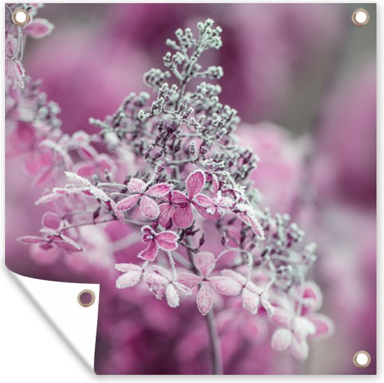 Tuinposters Close-up bevroren hortensia bloemen - 50x50 cm - Tuindoek - Buitenposter