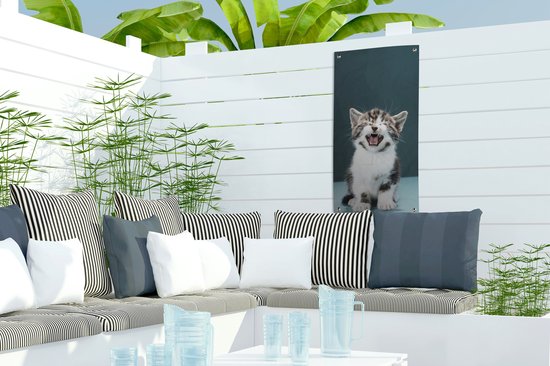 Poster de jardin Chat - Chaton - Miaou - 30x60 cm - Toile de jardin - Poster extérieur