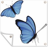 Tuin poster Een illustratie van twee blauwe vlinders - 200x200 cm - Tuindoek - Buitenposter