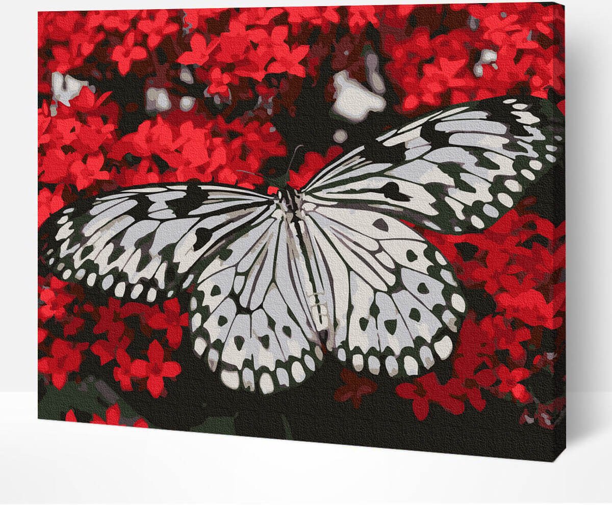 Schilderen Op Nummer Volwassenen DIY Paint By Number Compleet Hobby Pakket op Frame met Vernis - ®Arty Bee - Zwart & Wit Vlinder 50x40cm