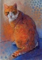Ansichtkaart Kater (Loes Botman) - 10,5x15x0,5 cm - 5 stuks - Groot Brittanië - Ecostory
