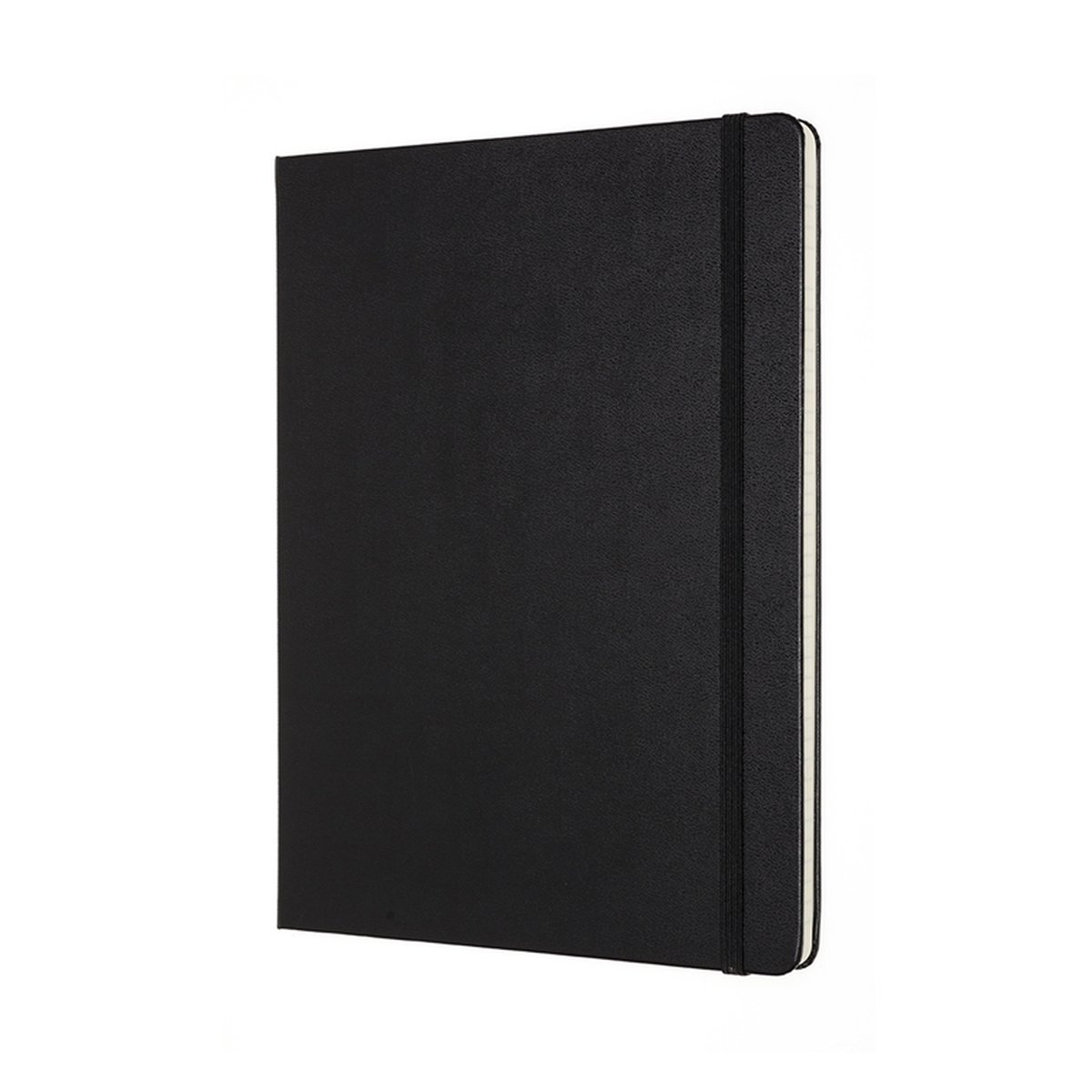 Moleskine Professional Notitieboek Extra Large Hardcover Zwart