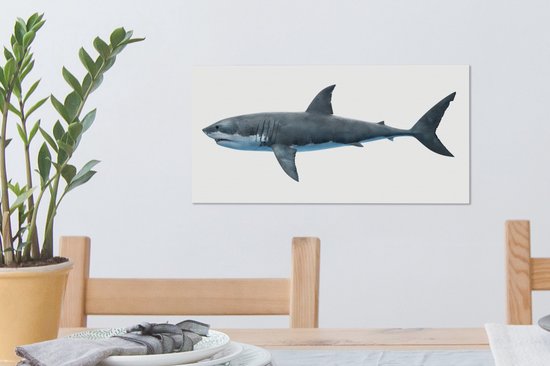 Toile Peinture Requin - Illustration - Wit - 40x20 cm - Décoration murale