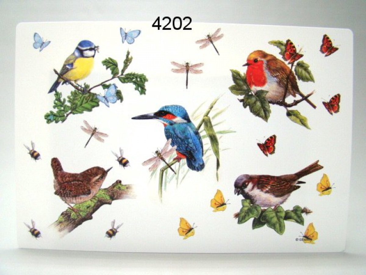 Placemat met afbeelding vogels
