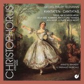 Il Parnasso Musicale - Kantaten (CD)