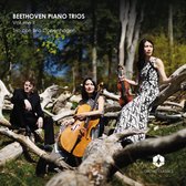 Trio Con Brio Copenhagen - Piano Trios Volume II (CD)