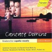 Knabenchor Capella Vocalis - Cantate Domino / Jauchzet Dem Herrn (CD)